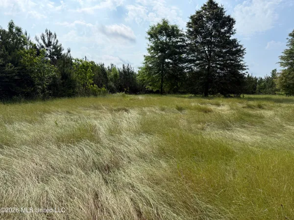 $1,336,000 | Scales Road, Morton, MS 39117