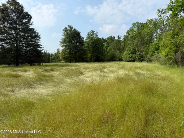 $1,336,000 | Scales Road, Morton, MS 39117
