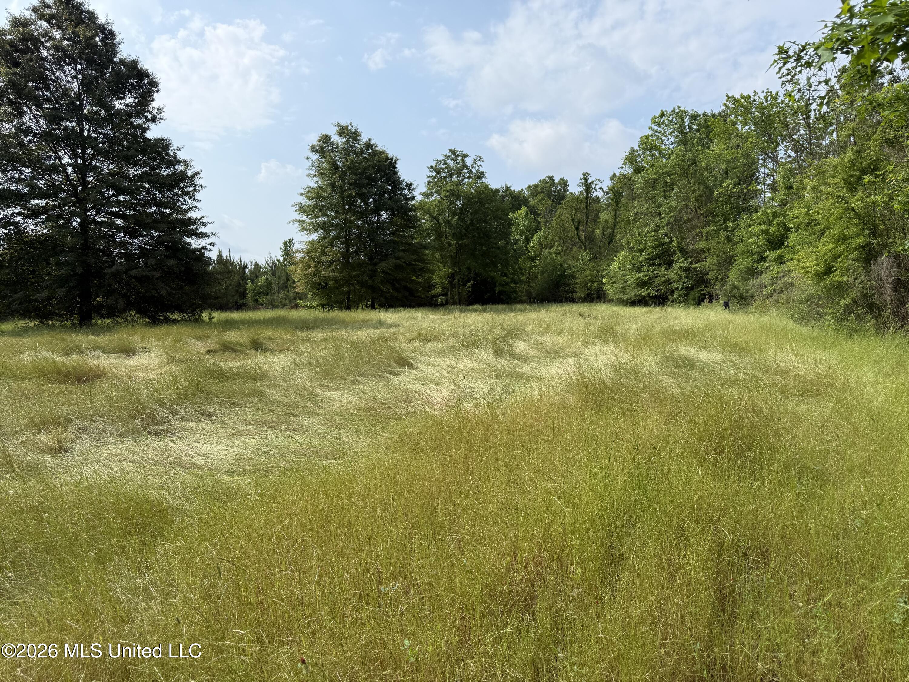 Scales Road Morton, MS 39117 - Photo 10 of 31 IMG_4637