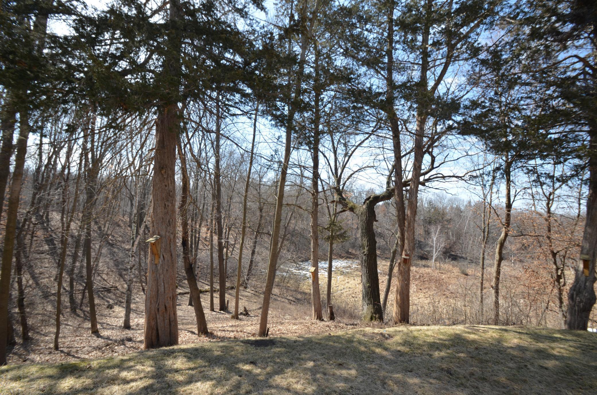 31066 Cedar Ridge Drive Lindstrom, MN 55045 - Photo 30 of 36