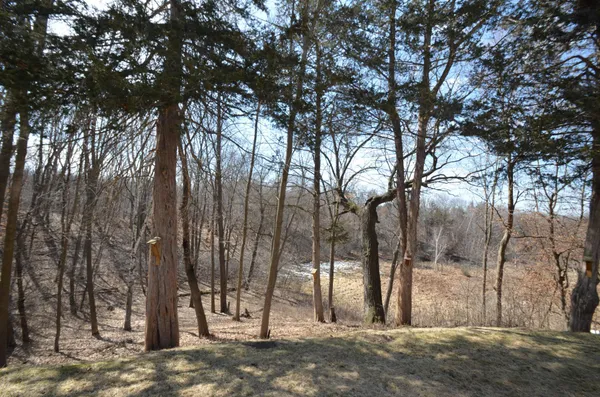$445,000 | 31066 Cedar Ridge Drive, Lindstrom, MN 55045