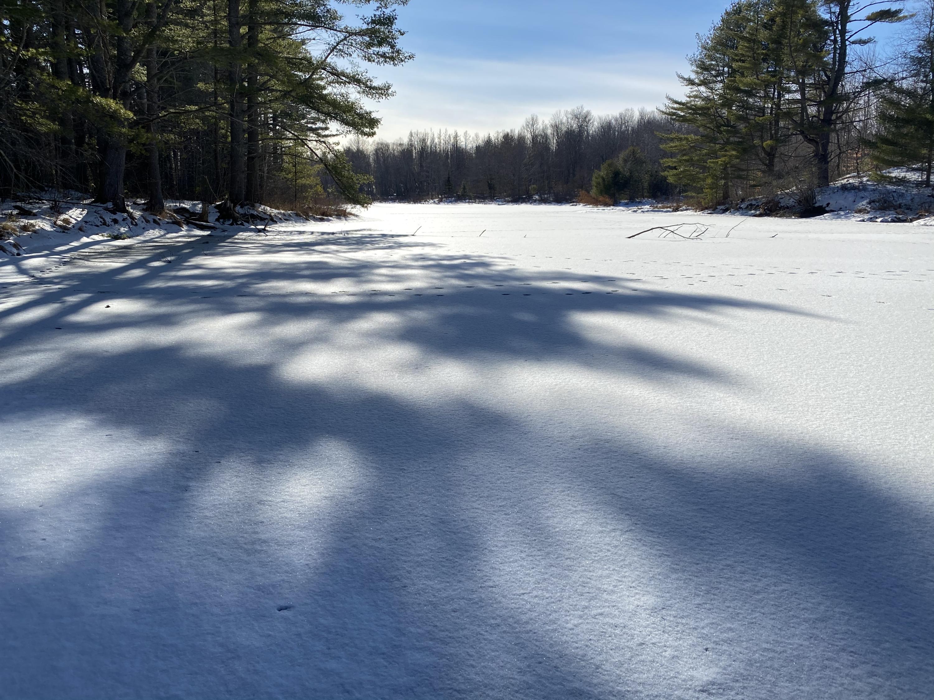 20 Howland Road Lagrange, ME 04453 - Photo 10 of 10 IMG_3125