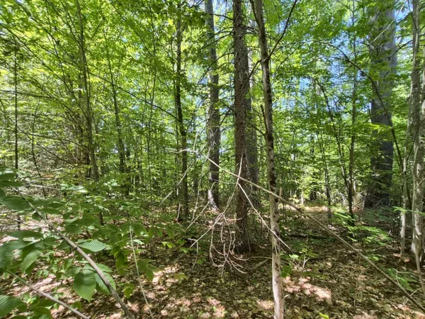 $86,000 | Mu23-l19b Holley Road, Farmington, ME 04938