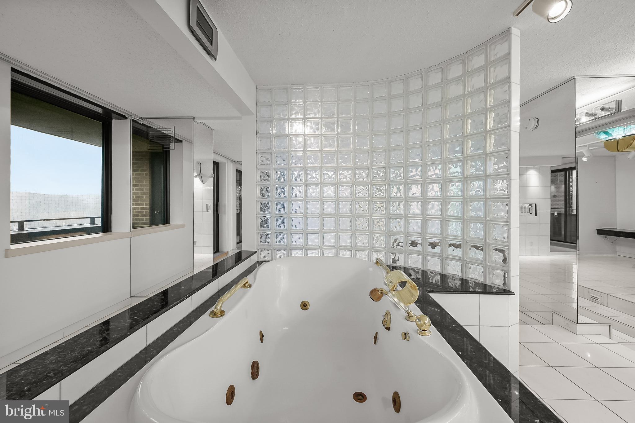 111 Hamlet Hill Road, Unit 807 Baltimore, MD 21210 - Photo 14 of 41 Jetted Soaking Tub