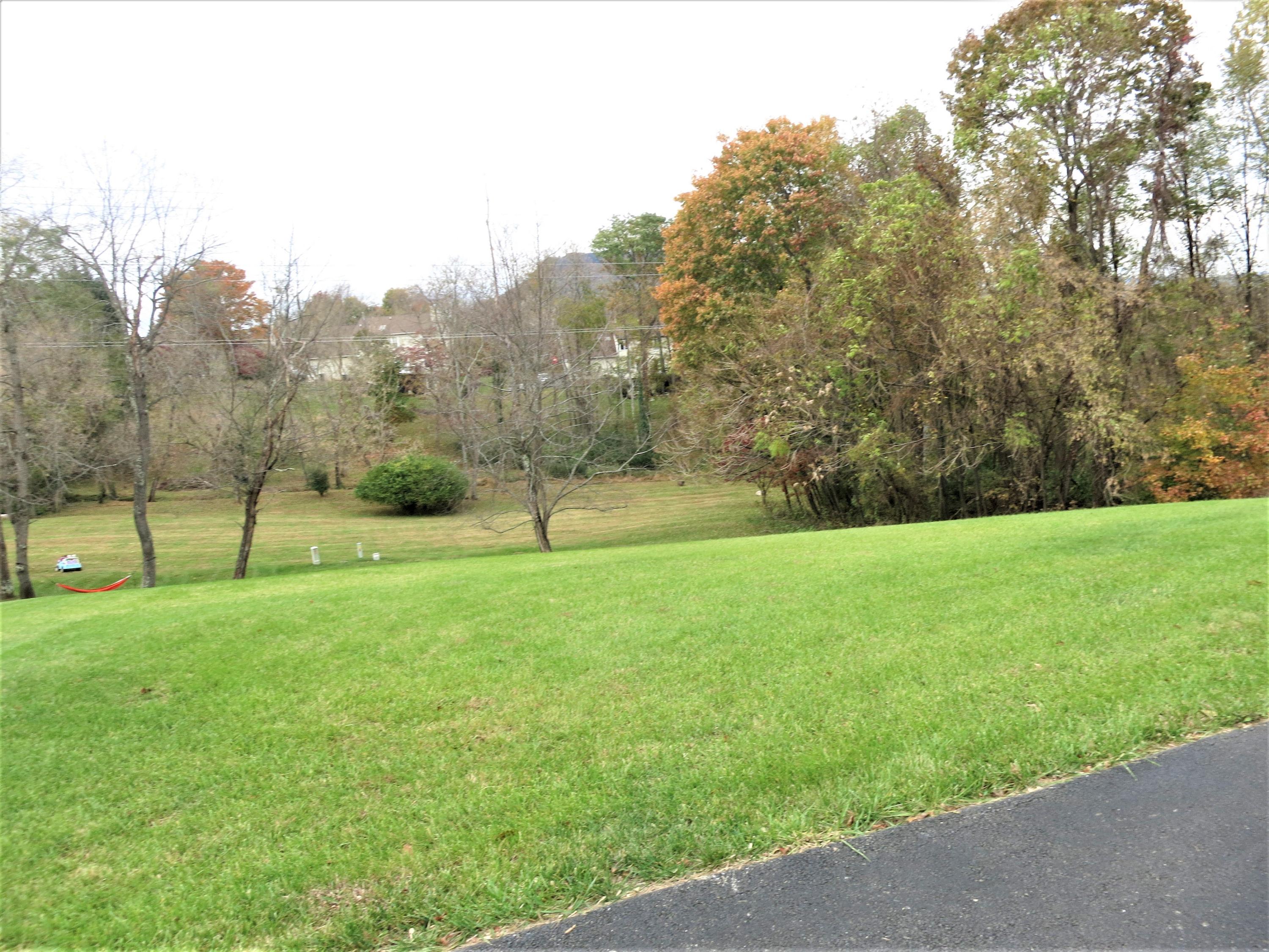 188 Stayman Road Roanoke, VA 24019 - Photo 4 of 40 Back yard