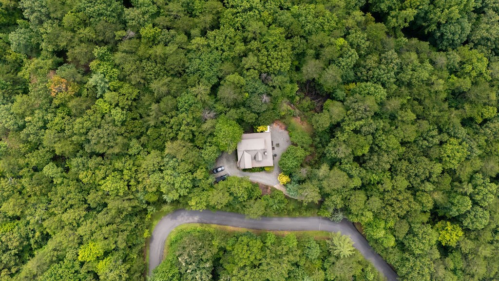 120 Foxfire Road Blue Ridge, GA 30513 - Photo 22 of 55 a view of a yard in a yard