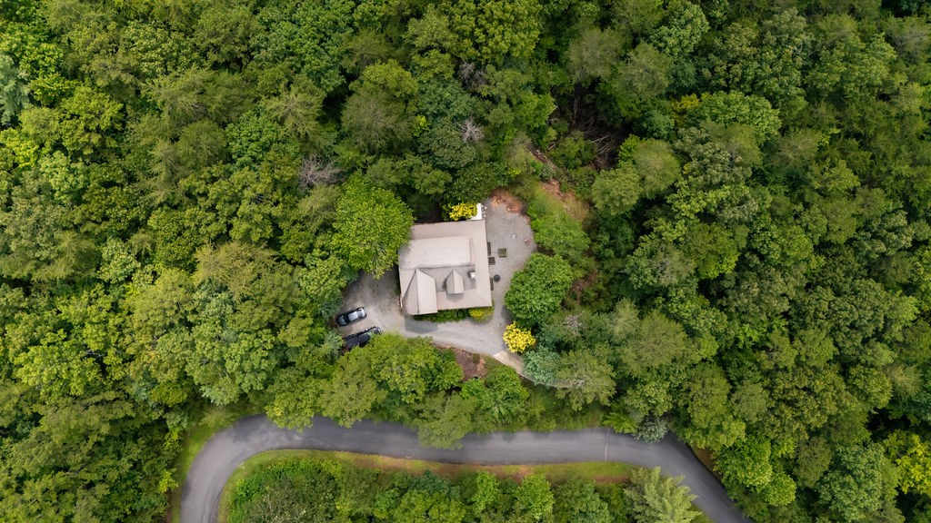 120 Foxfire Road Blue Ridge, GA 30513 - Photo 27 of 55 an aerial view of a house with a yard