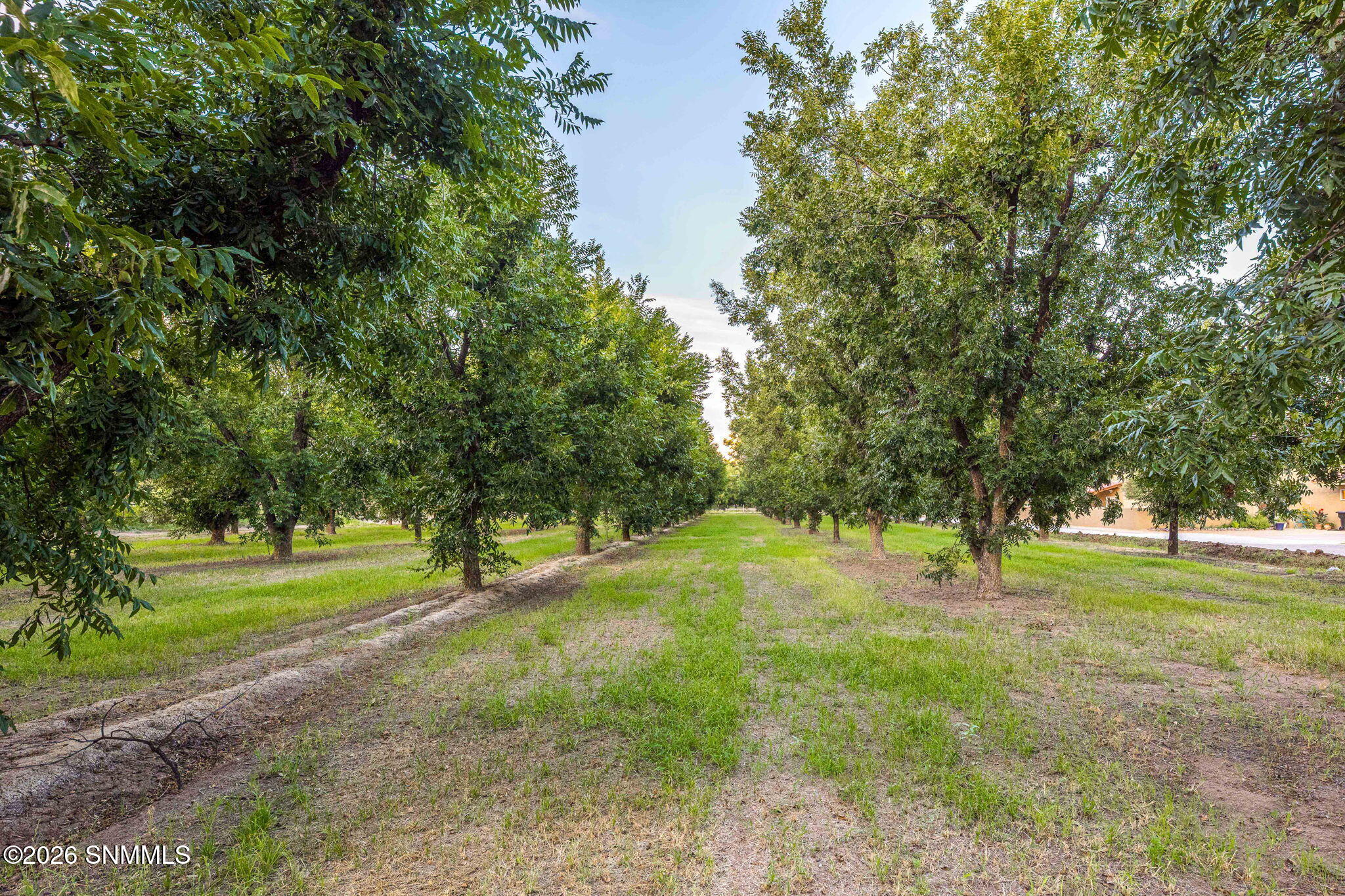 3070 Estrada Road Mesilla, NM 88046 - Photo 67 of 75 113-web-or-mls-Snappin Homes (Estrada307