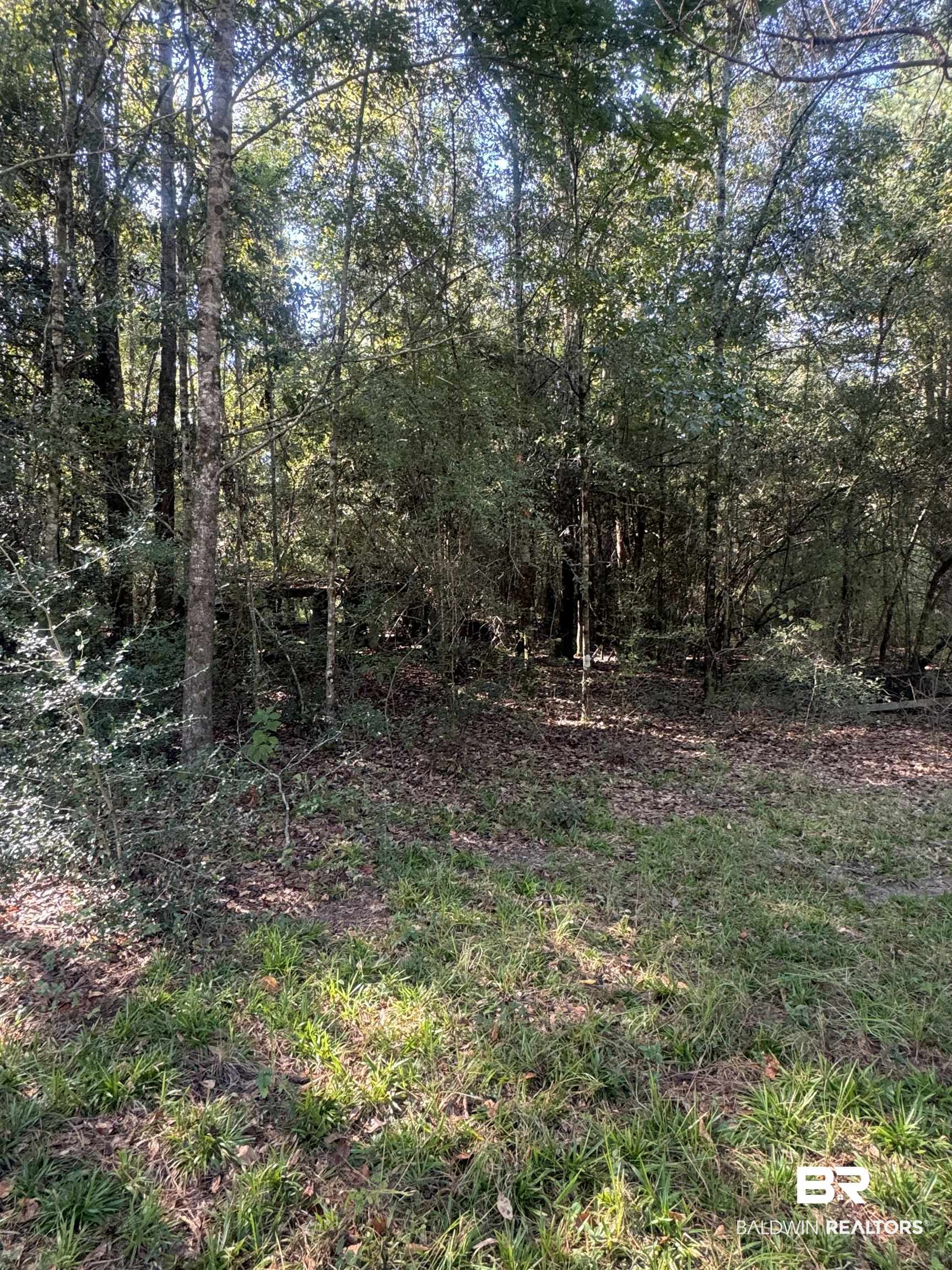 1067 County Road 7 Range, AL 36473 - Photo 15 of 30 View of landscape
