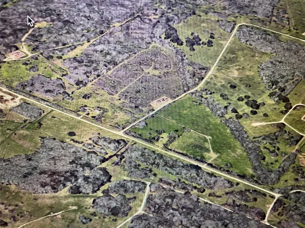 a view of a yard with a forest