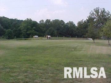 945 Mt Mission Road Metropolis, IL 62960 - Photo 13 of 16