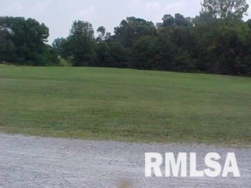 945 Mt Mission Road Metropolis, IL 62960 - Photo 14 of 16