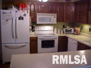 945 Mt Mission Road Metropolis, IL 62960 - Photo 4 of 16