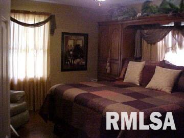 945 Mt Mission Road Metropolis, IL 62960 - Photo 5 of 16