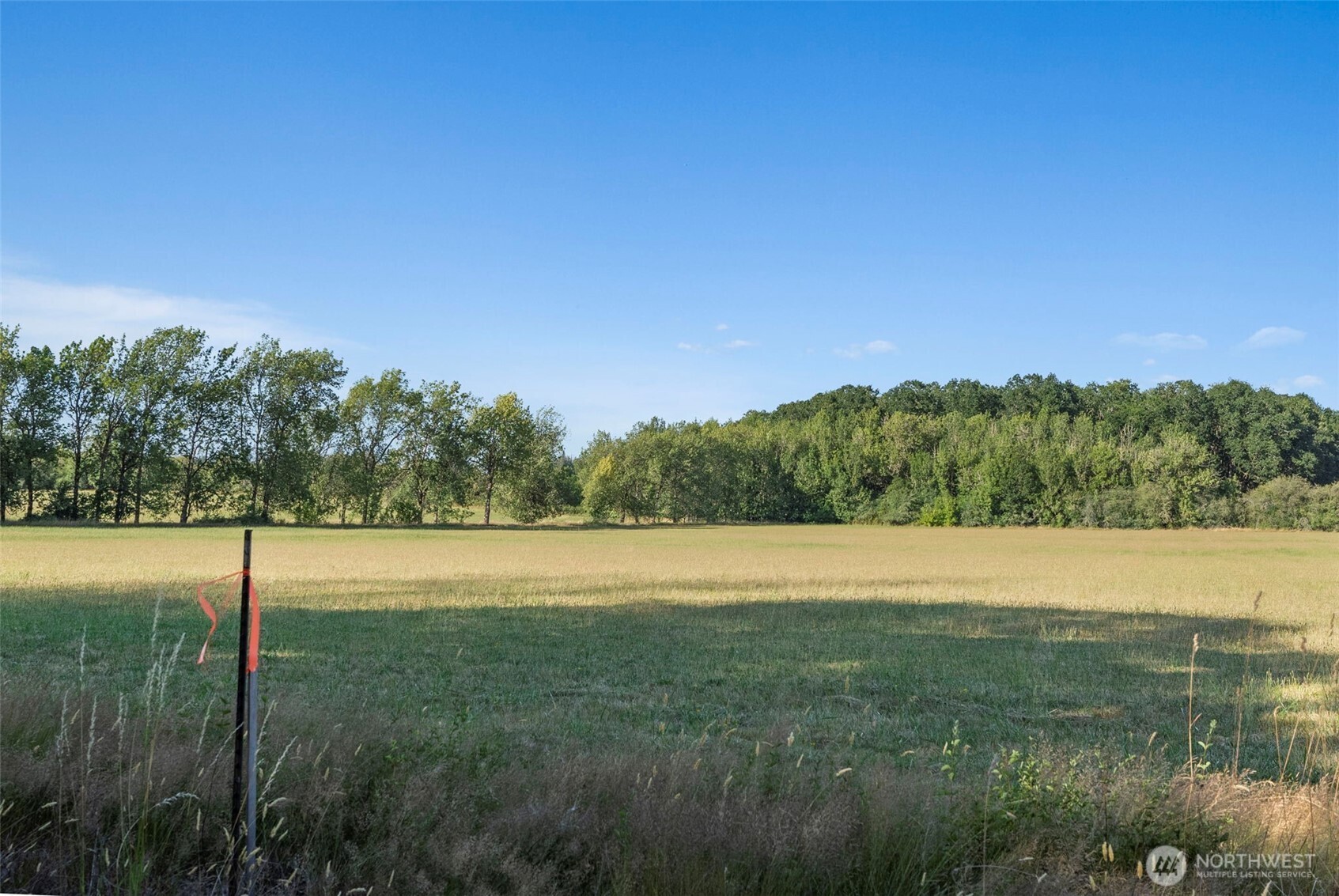 0 Rakoz Road Toledo, WA 98591 - Photo 15 of 16 a view of an outdoor space and a yard