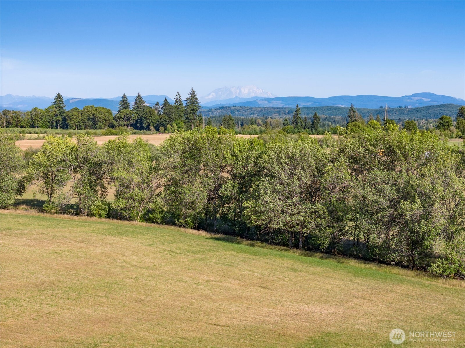 0 Rakoz Road Toledo, WA 98591 - Photo 2 of 16 a view of a lake with a mountain in the background