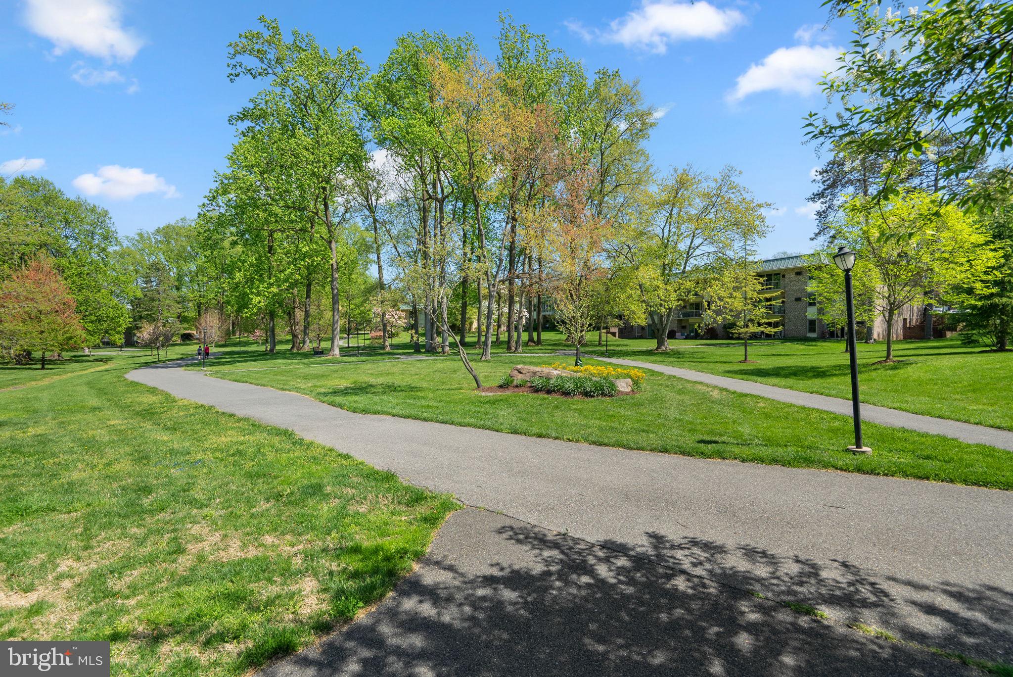 3382 Chiswick Court, Unit 512D Silver Spring, MD 20906 - Photo 26 of 50 Walking paths and beautiful tree lines out back!