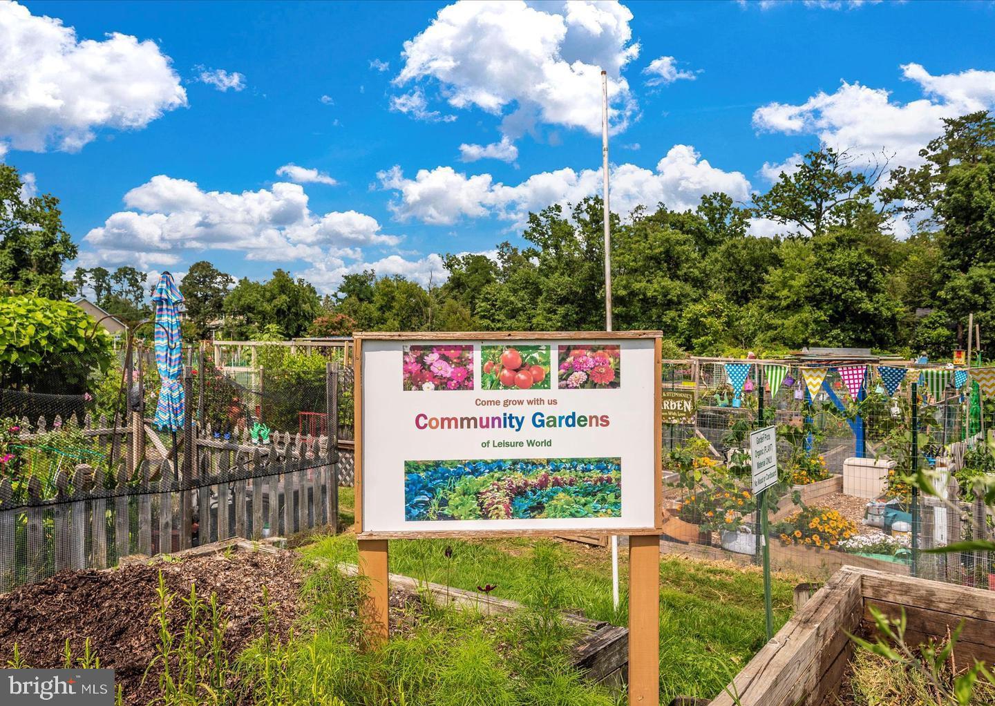 3382 Chiswick Court, Unit 512D Silver Spring, MD 20906 - Photo 47 of 50 Community garden area