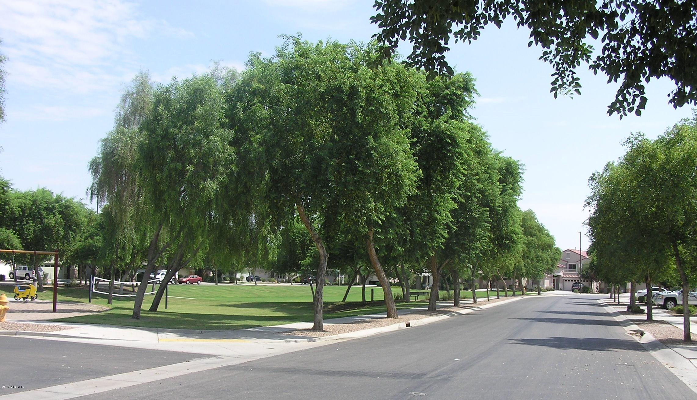 4231 East Bonanza Road Gilbert, AZ 85297 - Photo 8 of 62 ANOTHER PARK VIEW