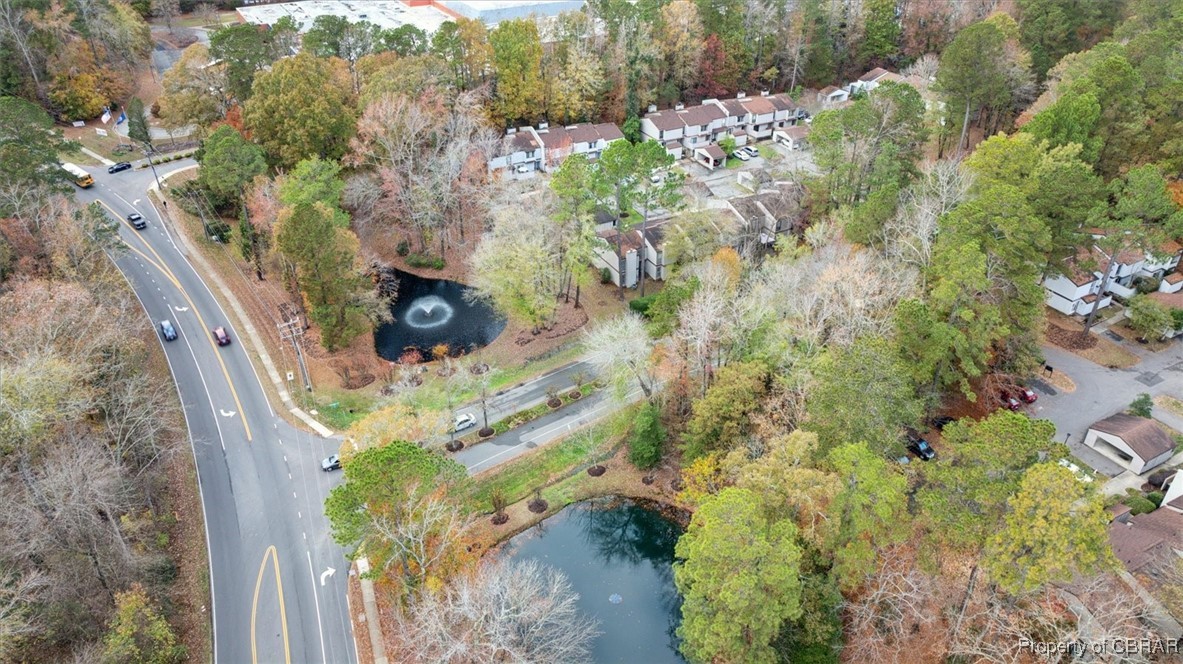 1 Spring West Williamsburg, VA 23188 - Photo 41 of 48 Gallery Image 41