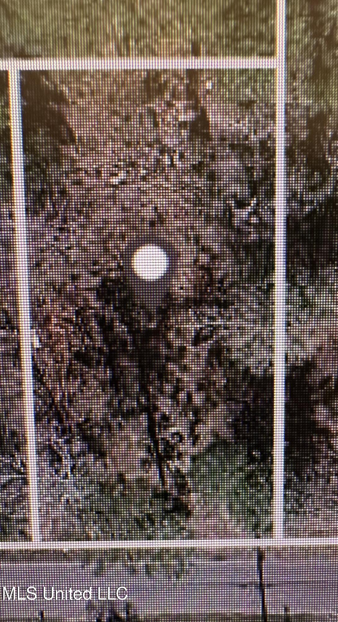 2020 Hastings Road Gautier, MS 39553 - Photo 4 of 5 IMG_1455