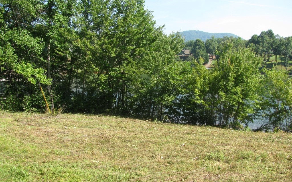 Sunnyside Road Hiawassee, GA 30546 - Photo 18 of 21 Additional View