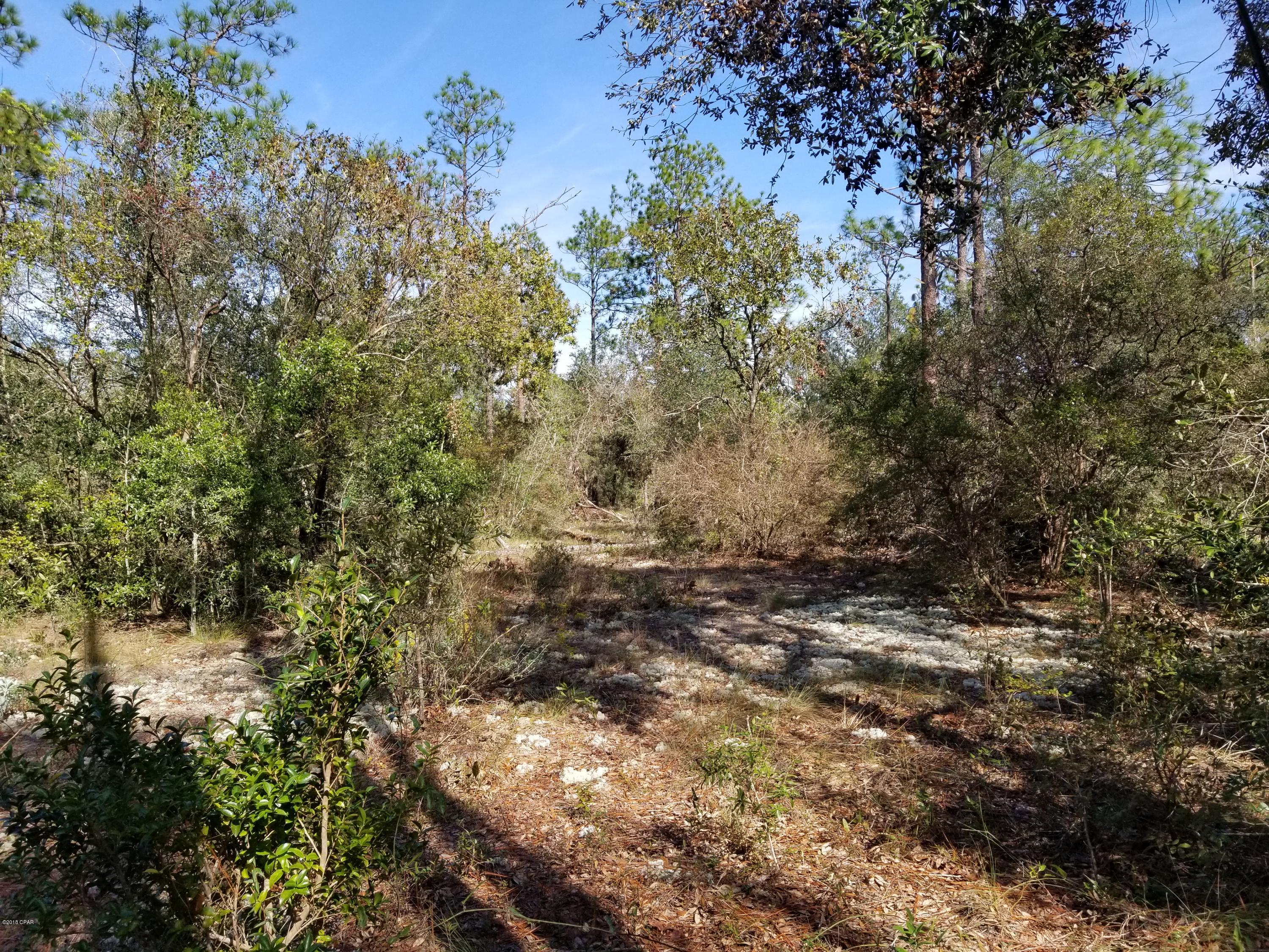 3138 Turkey Run Road Chipley, FL 32428 - Photo 30 of 42 Gallery Image 30