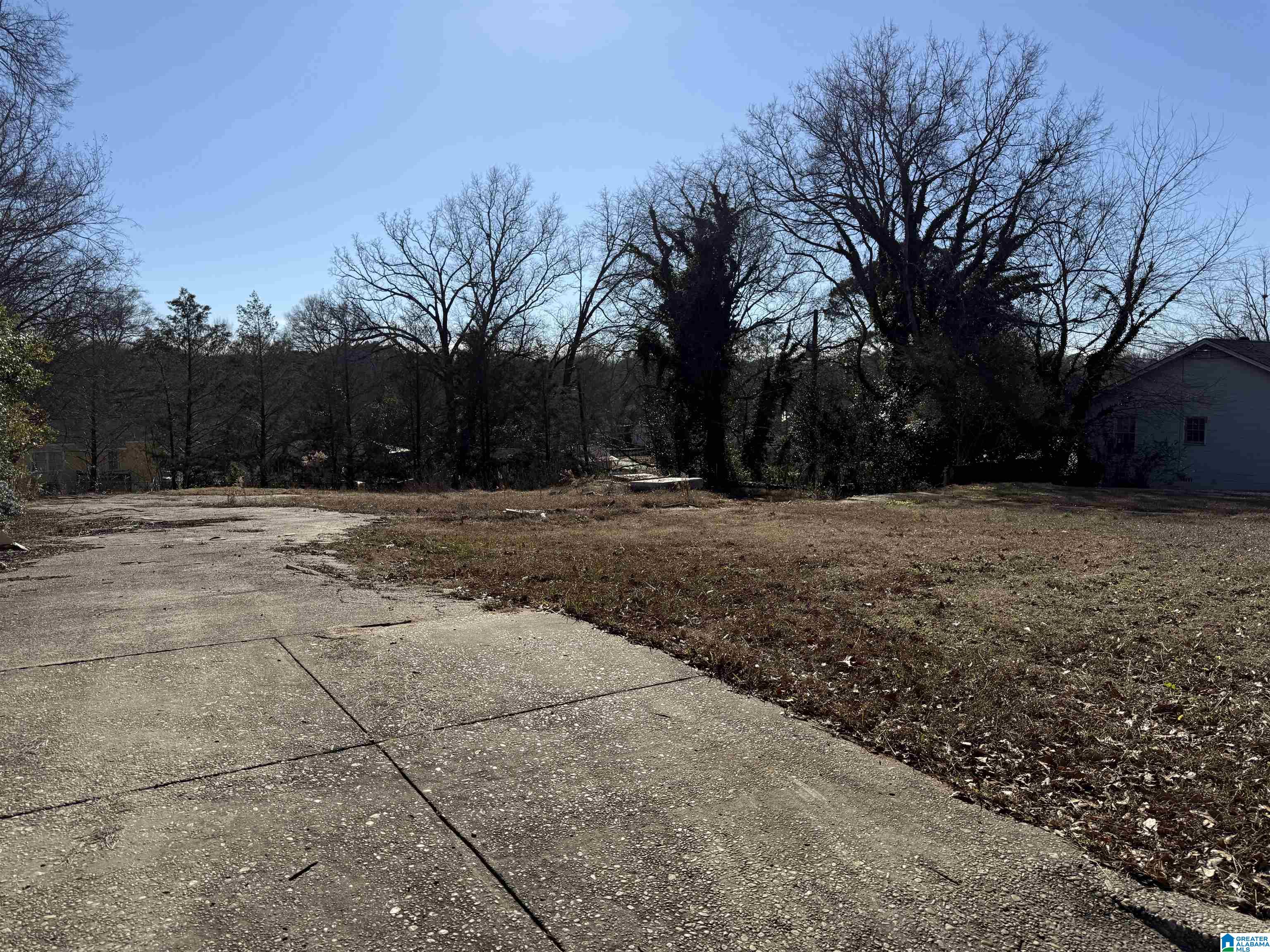 409 West Walnut Street Sylacauga, AL 35150 - Photo 2 of 2