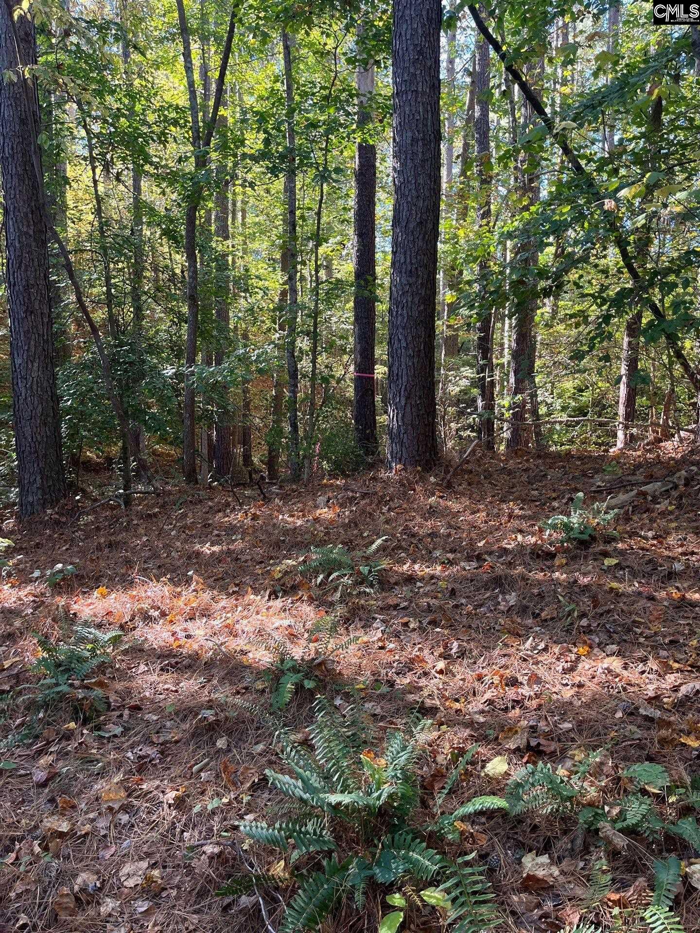 3 Dawkins Road, Unit DRF 3 Whitmire, SC 29178 - Photo 32 of 38