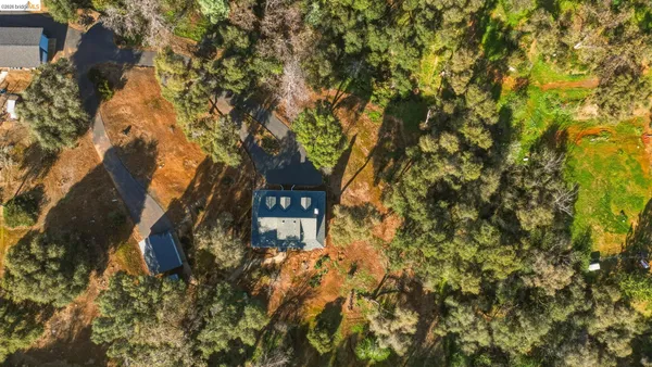 a view of a tree in front of a house