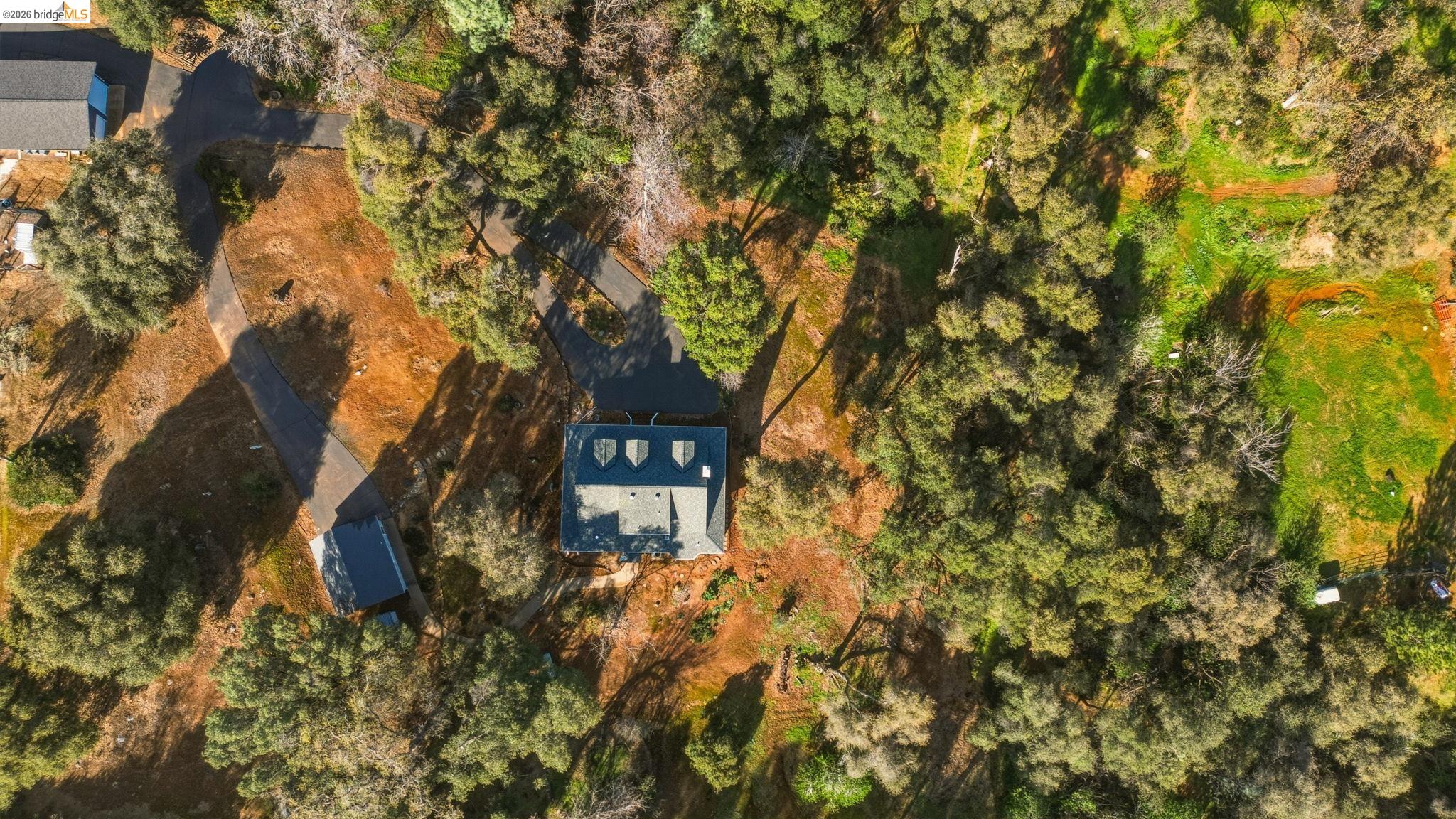 23401 Italian Bar Road Columbia, CA 95310 - Photo 18 of 49 a picture of a tree