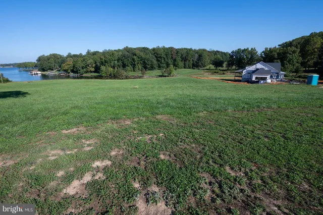 a view of a grassy field with trees in the background