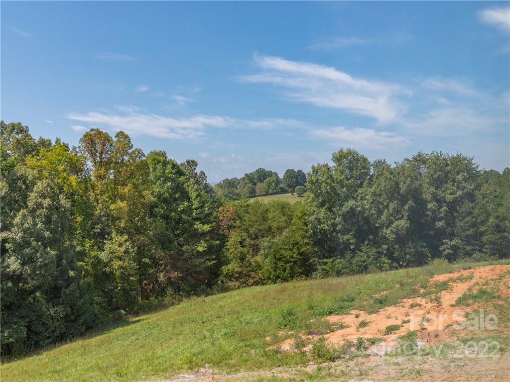 156 Wilson Farm Road Weaverville, NC 28787 - Photo 20 of 20 Gallery Image 20