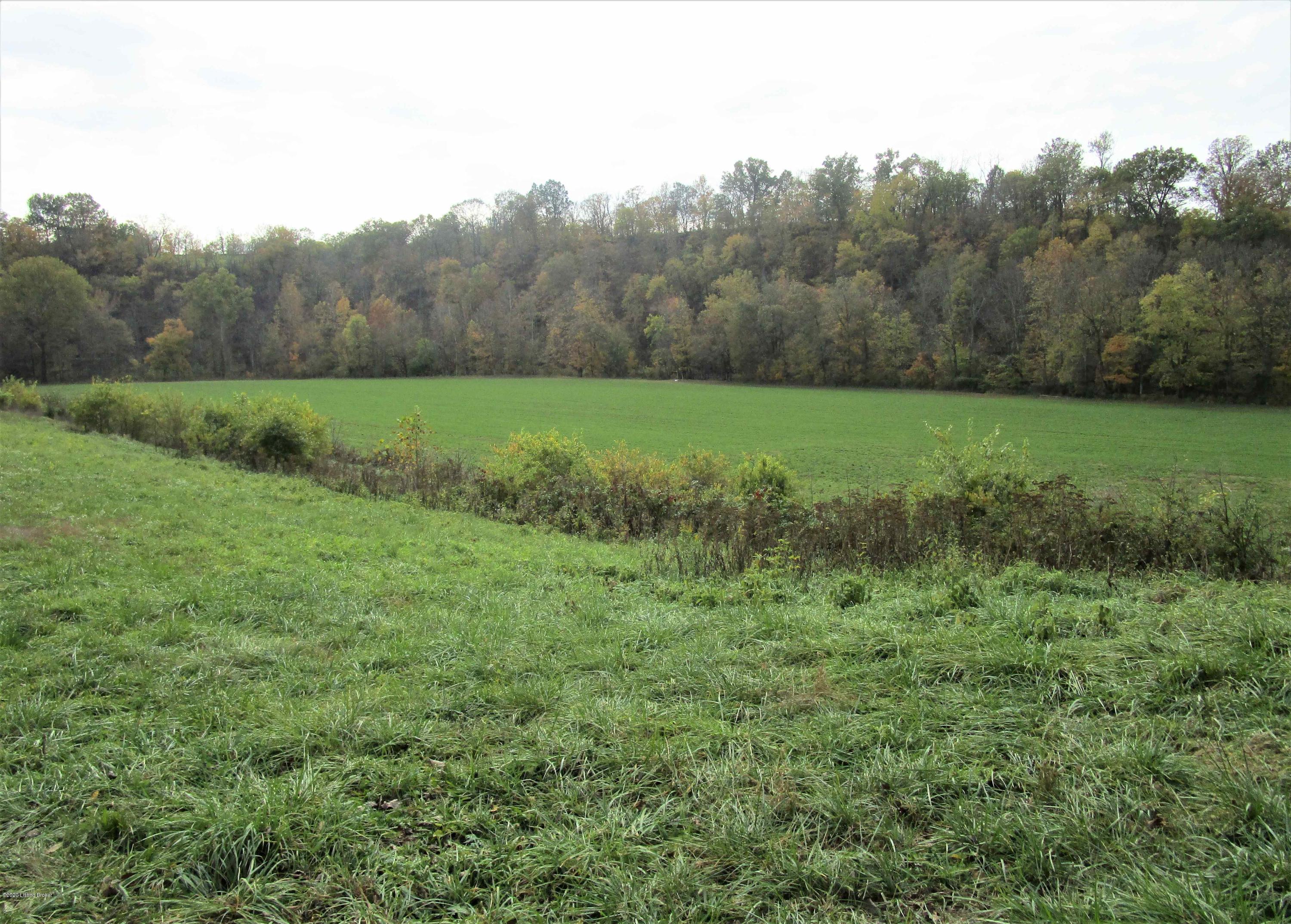7016 Fallen Timber Road Campbellsburg, KY 40011 - Photo 19 of 46 IMG_2434