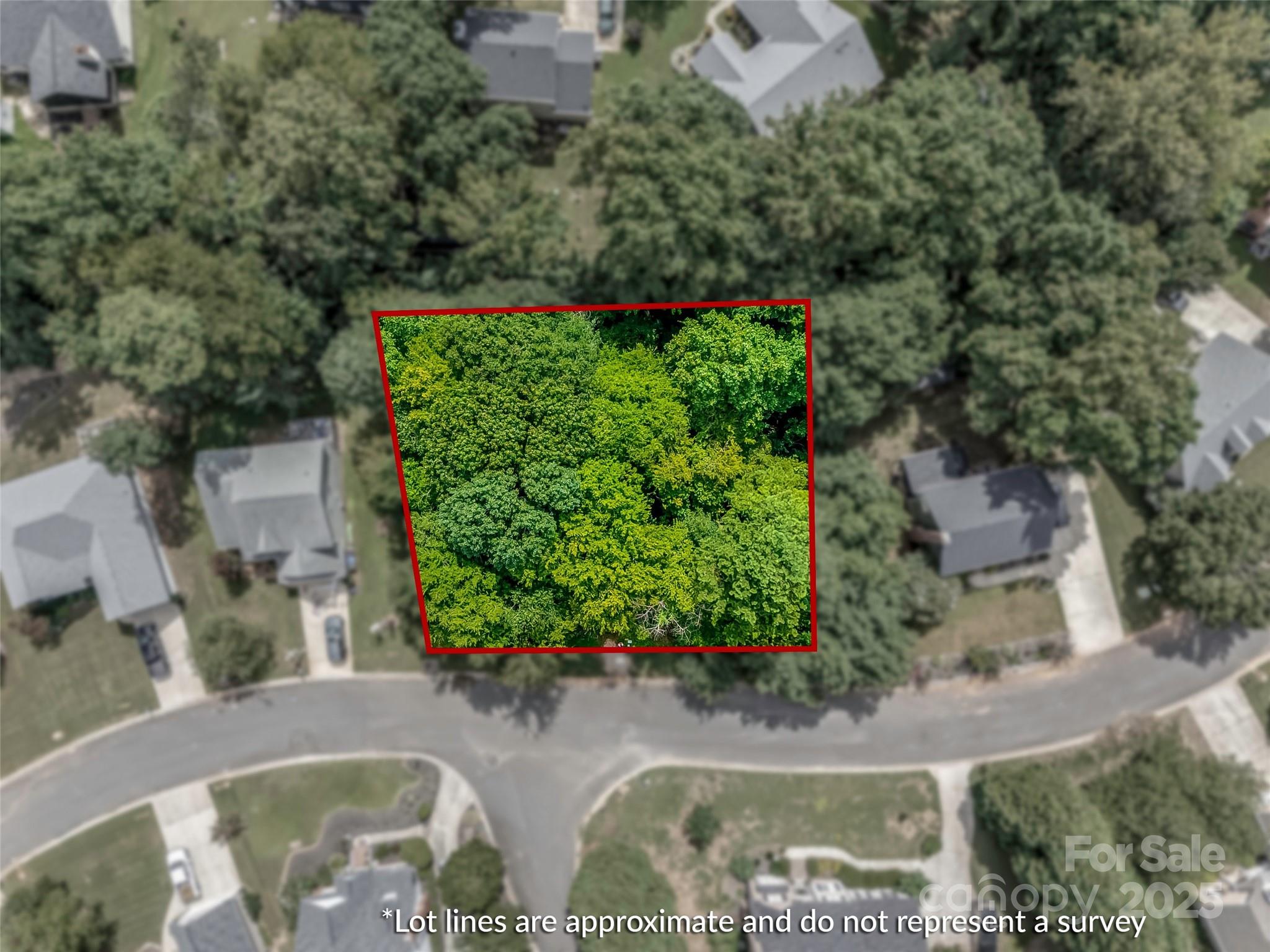 1391 Colwick Lane Rock Hill, SC 29732 - Photo 3 of 14