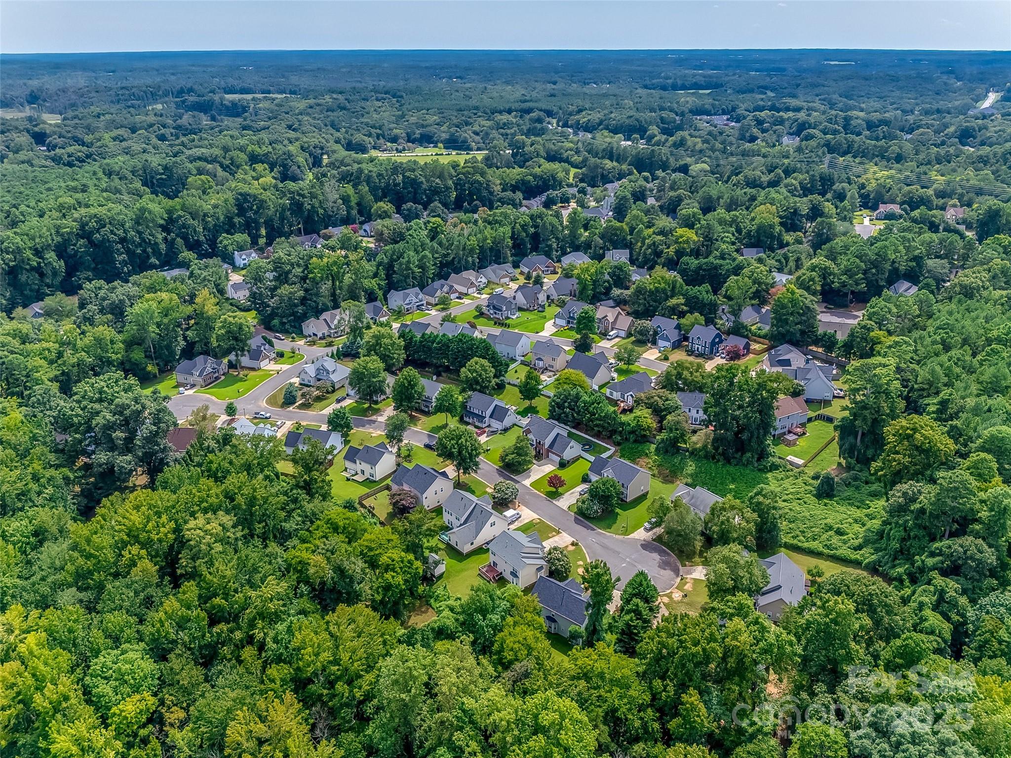 1391 Colwick Lane Rock Hill, SC 29732 - Photo 7 of 14
