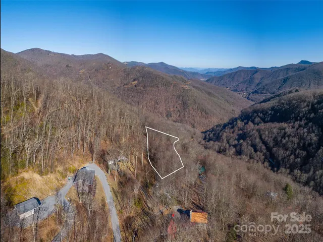 a view of a mountain in the distance