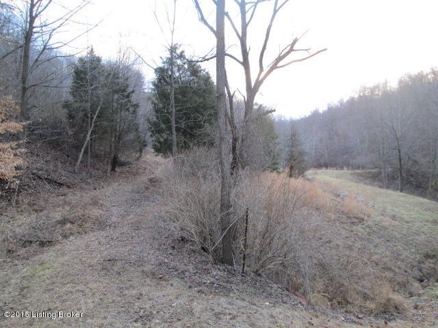 478 Cardinal Road Shepherdsville, KY 40165 - Photo 18 of 21 land