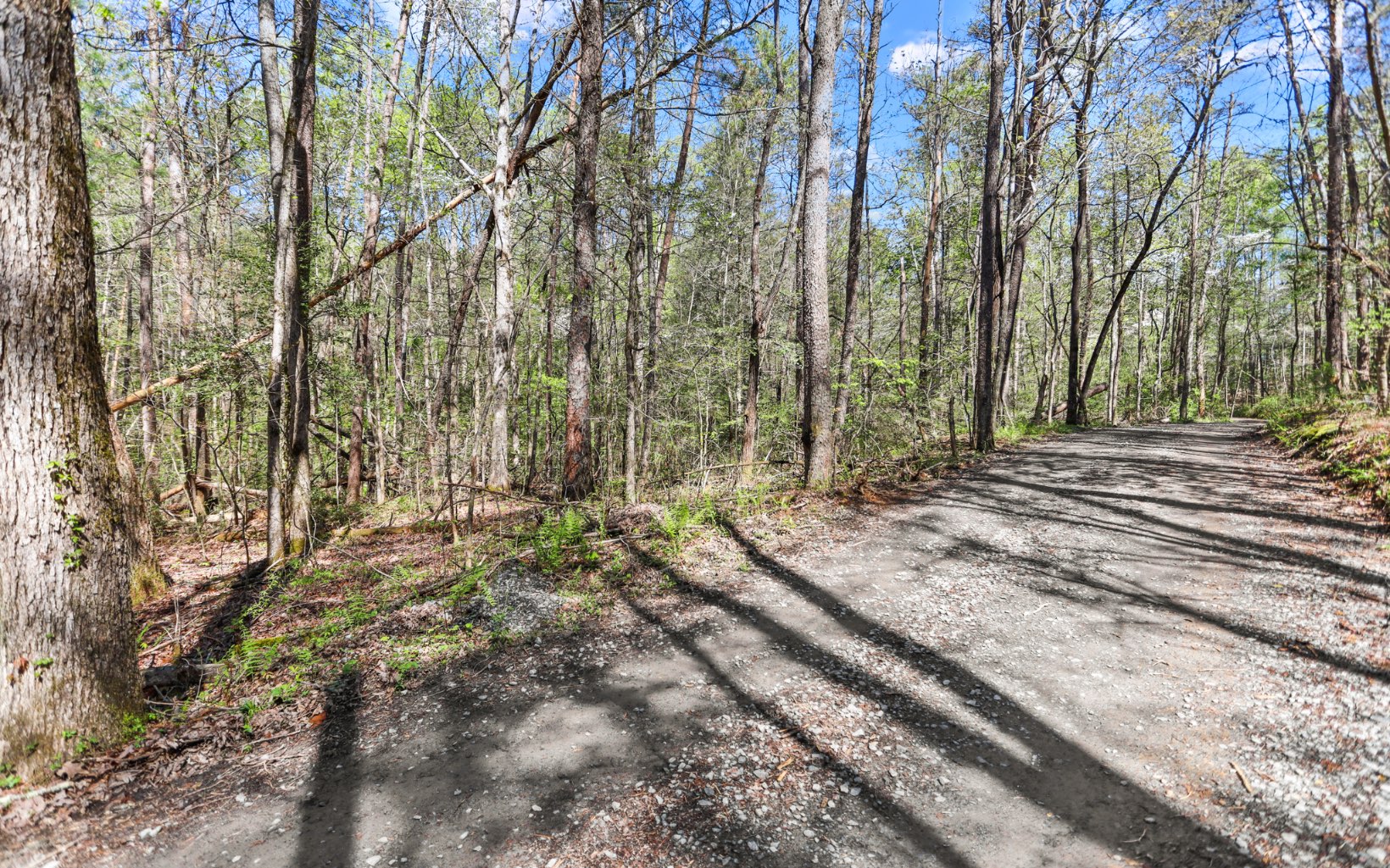 Hurley Lane Blue Ridge, GA 30513 - Photo 11 of 13 Additional View