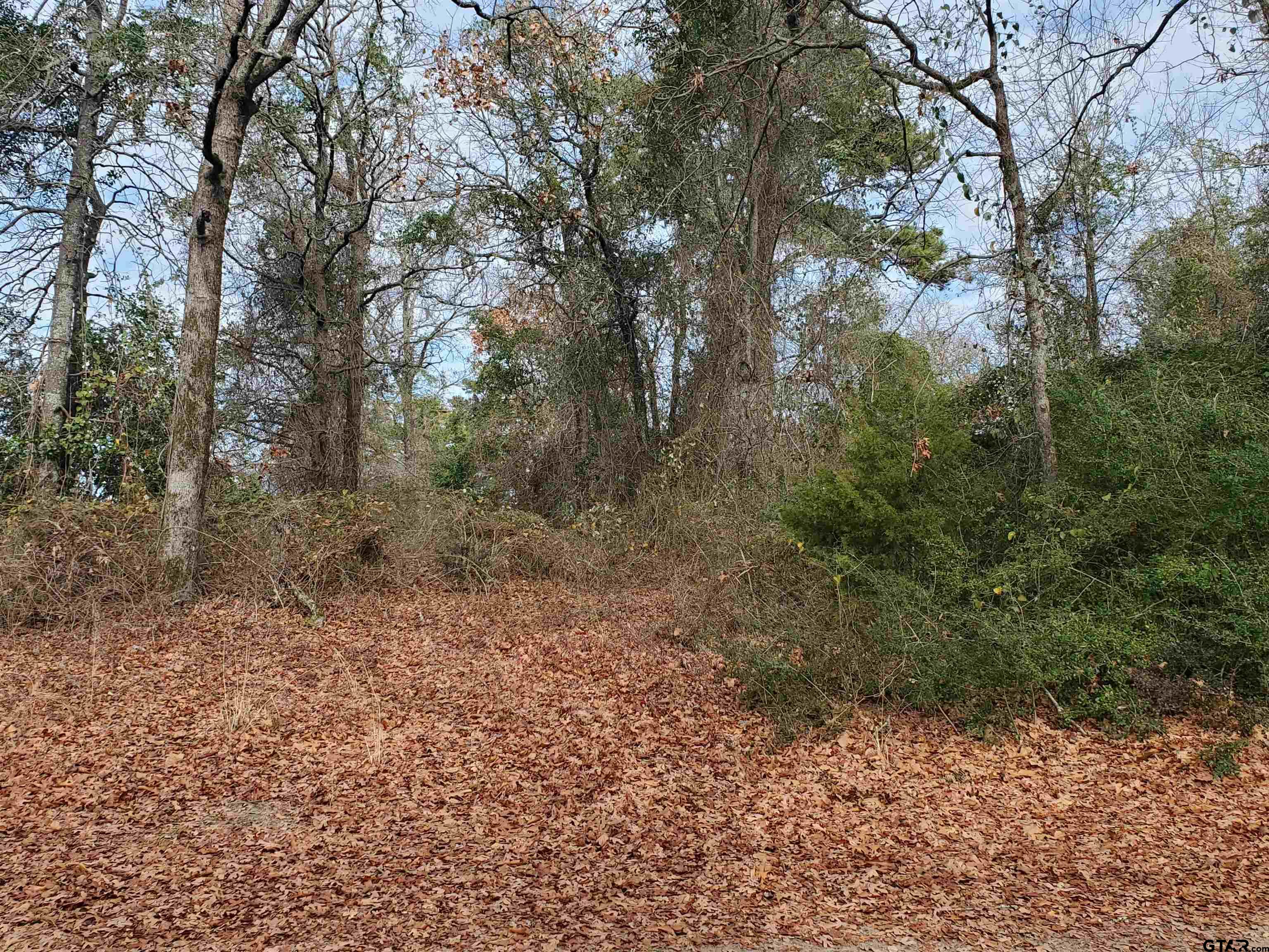 Tbd Beech Road Big Sandy, TX 75755 - Photo 6 of 16 Gallery Image 6