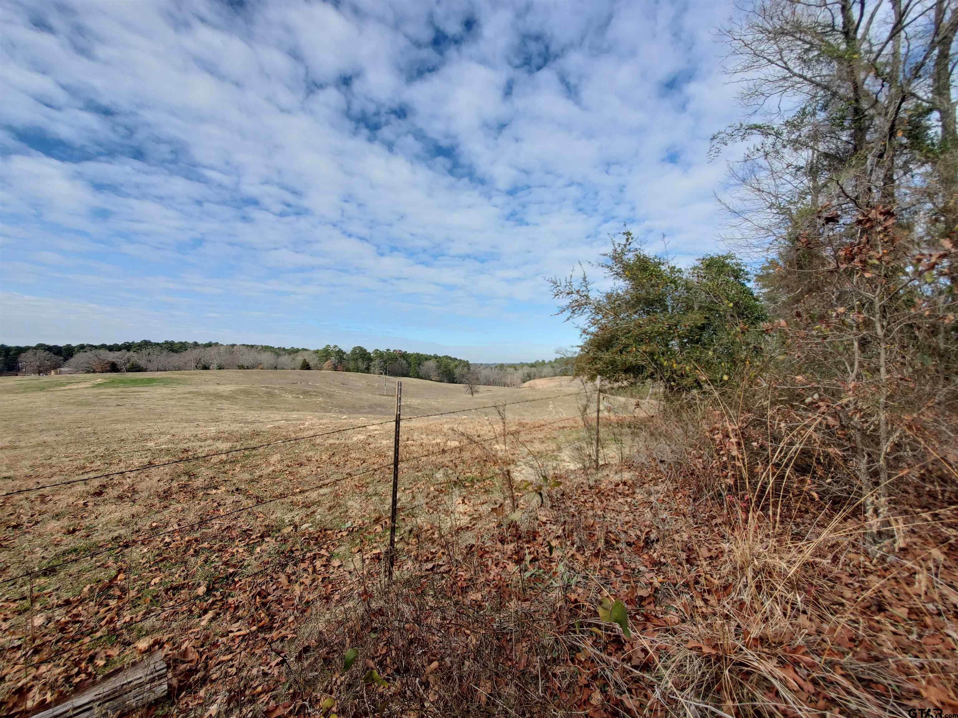 Tbd Beech Road Big Sandy, TX 75755 - Photo 10 of 16 Gallery Image 10