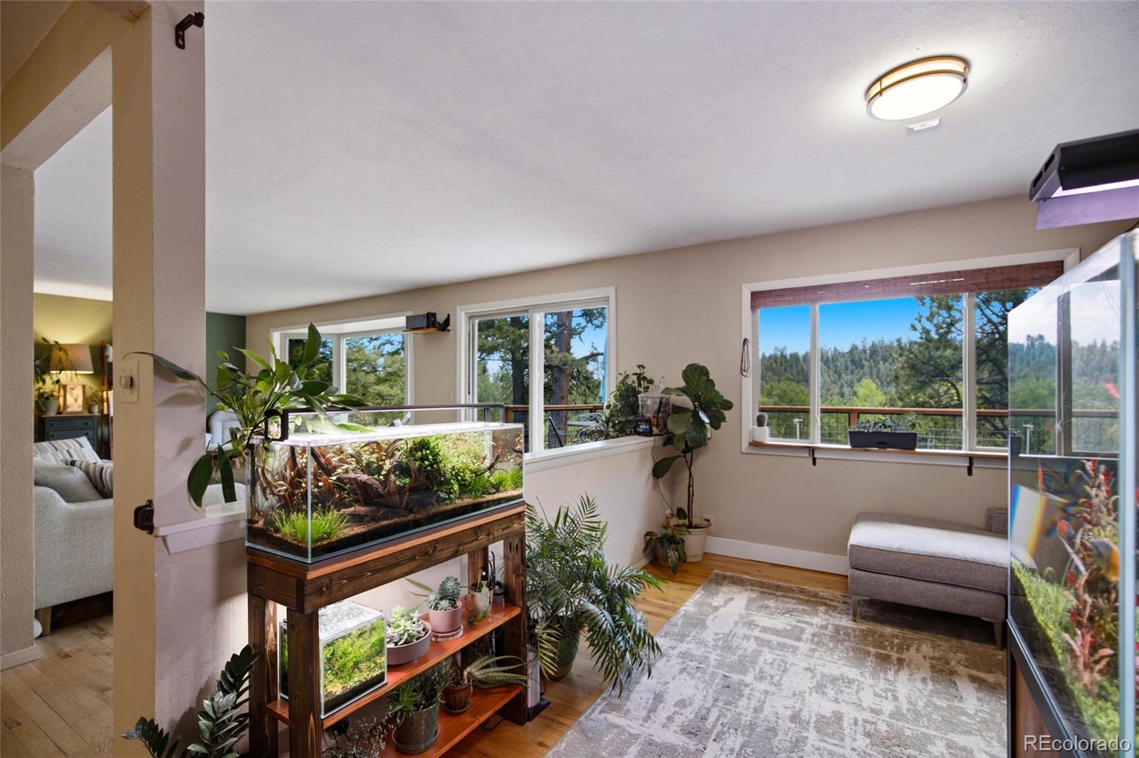 31280 Florence Road Conifer, CO 80433 - Photo 5 of 48 a living room with furniture and a large window