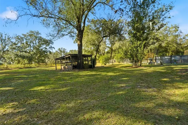 a plant that is in a field