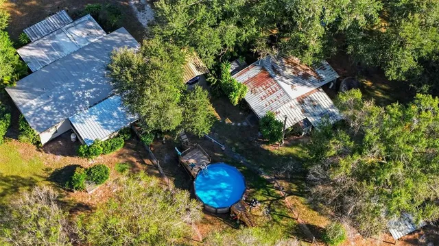a view of a yard with plants and trees