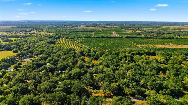 a view of a house with backyard and garden