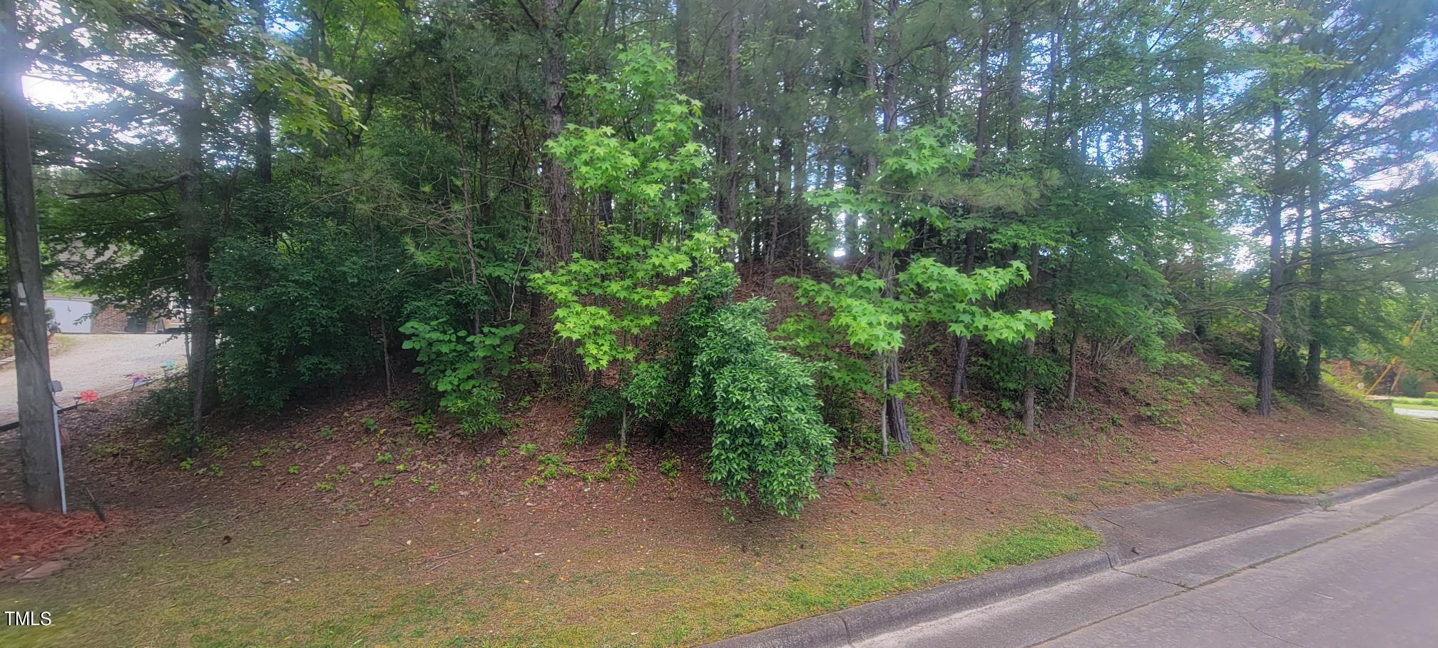 364 Pearson Drive Durham, NC 27713 - Photo 2 of 5 a view of a forest with trees in the background