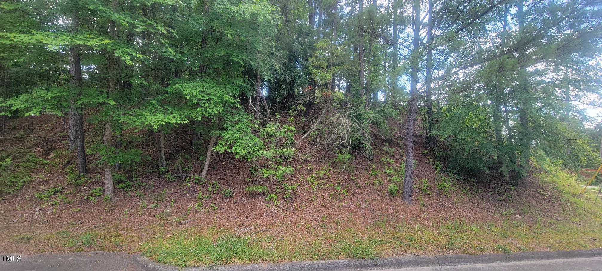 364 Pearson Drive Durham, NC 27713 - Photo 3 of 5 a view of a forest filled with trees