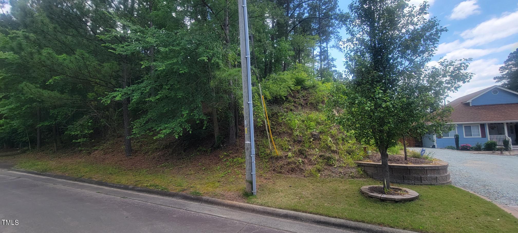 364 Pearson Drive Durham, NC 27713 - Photo 4 of 5 a view of a fountain in the yard next to a yard