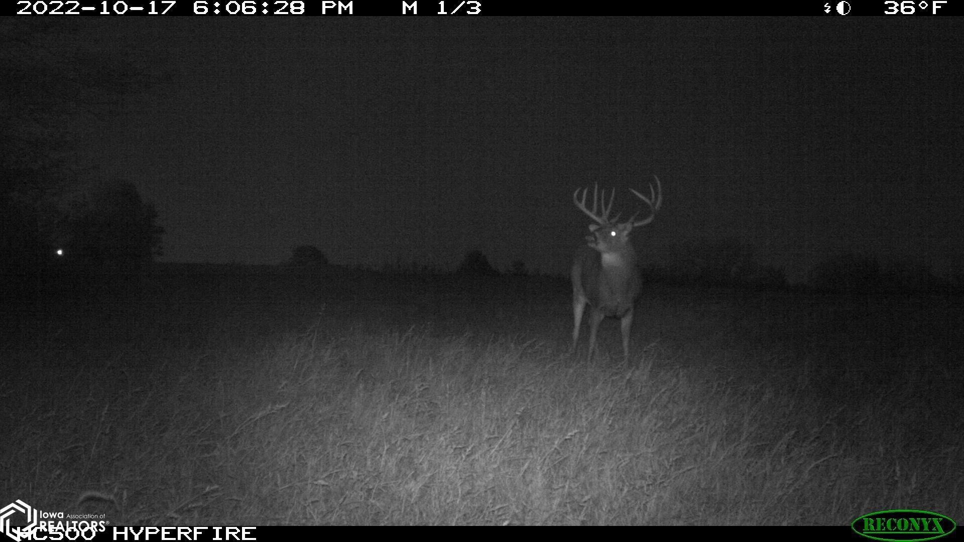 26845 County Road R52 Leon, IA 50144 - Photo 48 of 92 Gallery Image 48