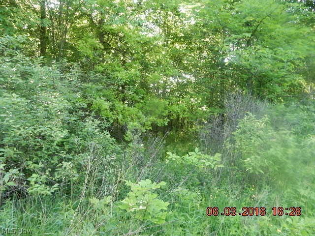 Hoffman Road Rome, OH 44085 - Photo 24 of 34